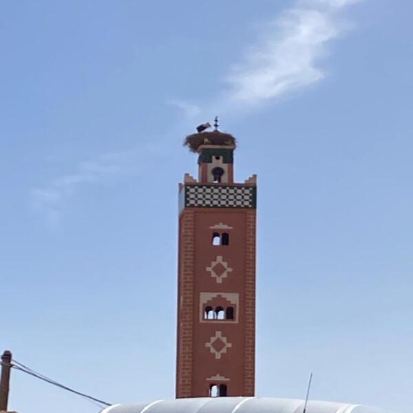 marrakech